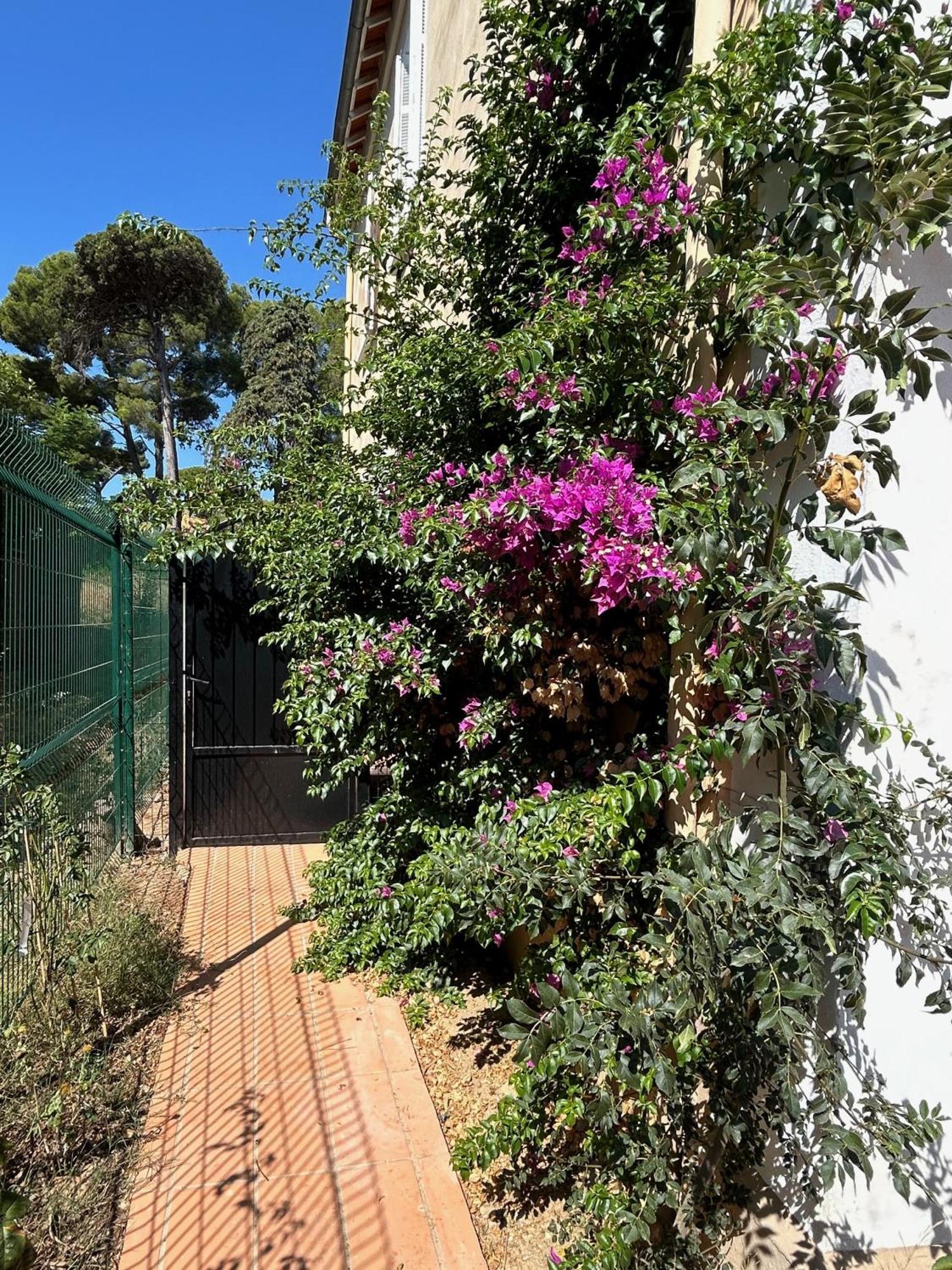 Villa Les Lys 2 La Seyne-sur-Mer Kültér fotó